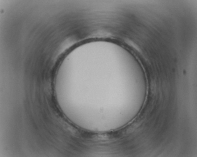 X0000062841315200601272006