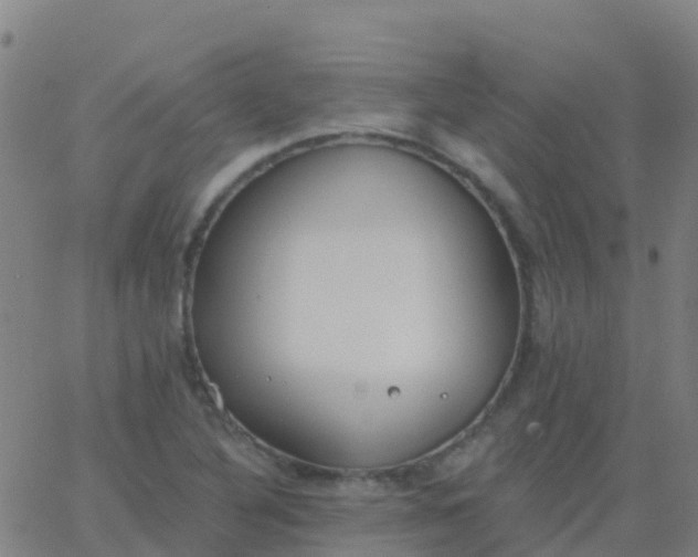 X0000062841316200601272006