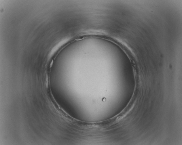 X0000062841317200601272006