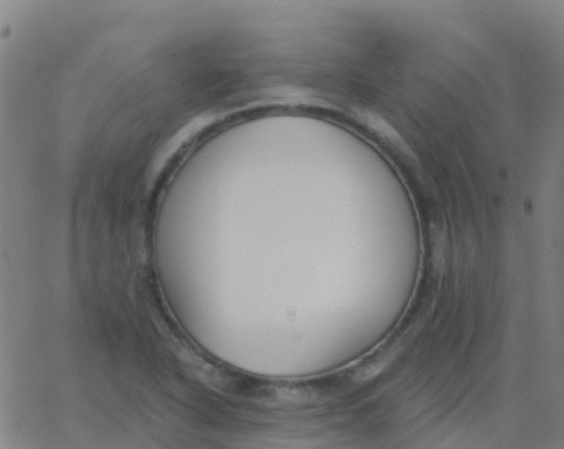 X0000062841318200601272006