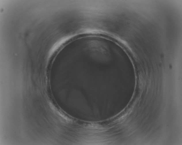 X0000062841319200601272006