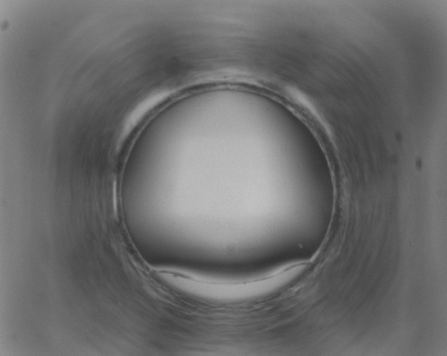 X0000062841320200601272006