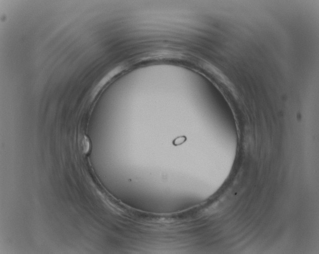 X0000062841321200601272006