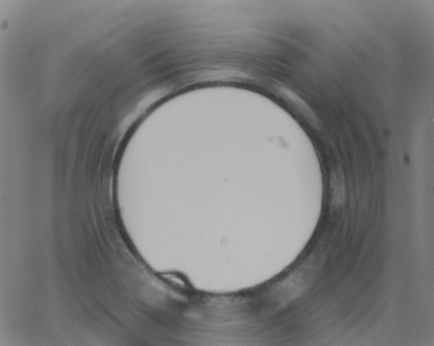 X0000062841322200601272006