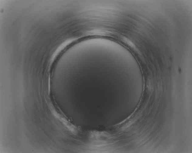 X0000062841323200601272006