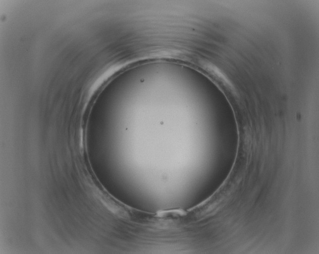 X0000062841324200601272006