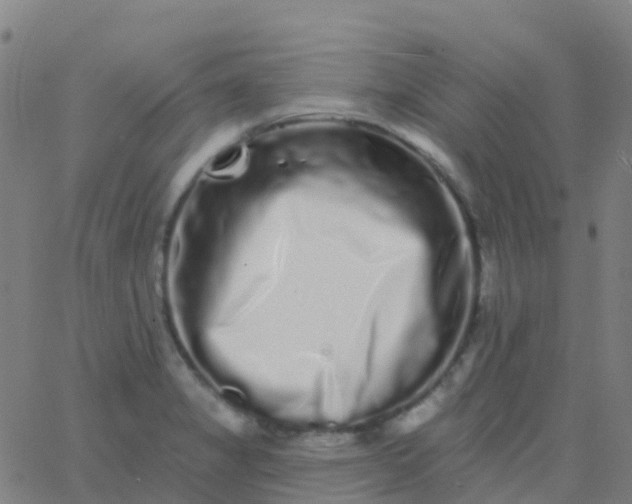 X0000062841325200601272006