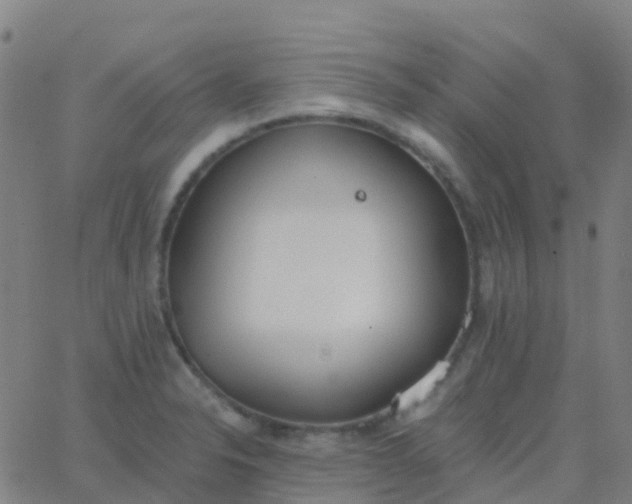 X0000062841326200601272006