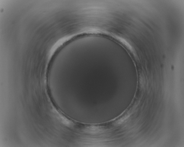 X0000062841327200601272006