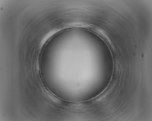 X0000062841328200601272006