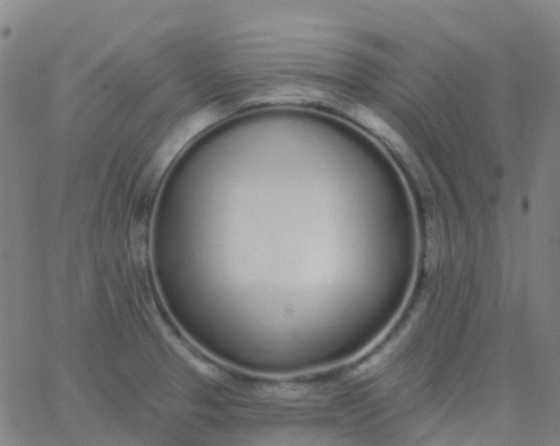 X0000062841329200601272006