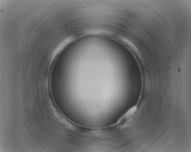 X0000062841330200601272006