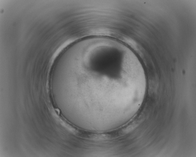 X0000062841331200601272006