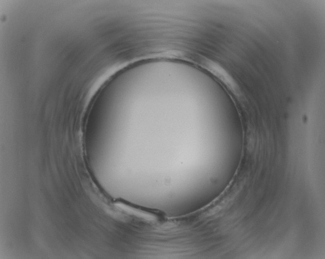 X0000062841332200601272006