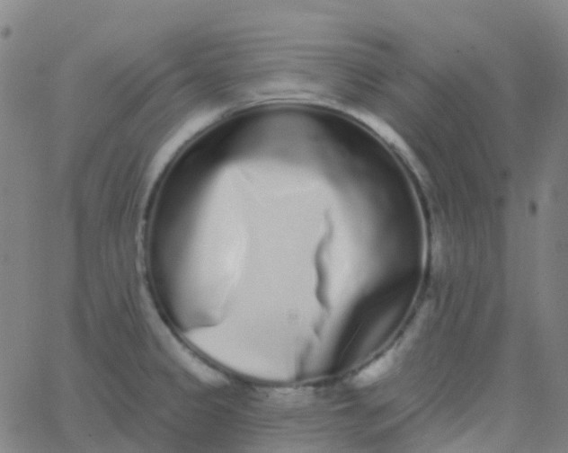 X0000062841333200601272006