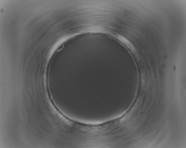 X0000062841334200601272006