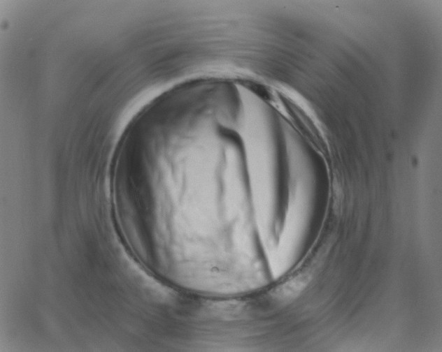 X0000062841335200601272006