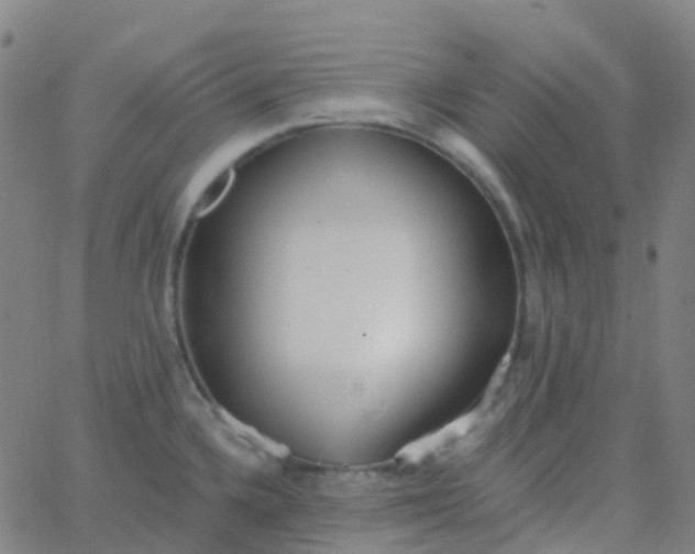 X0000062841336200601272006