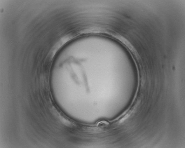 X0000062841337200601272007