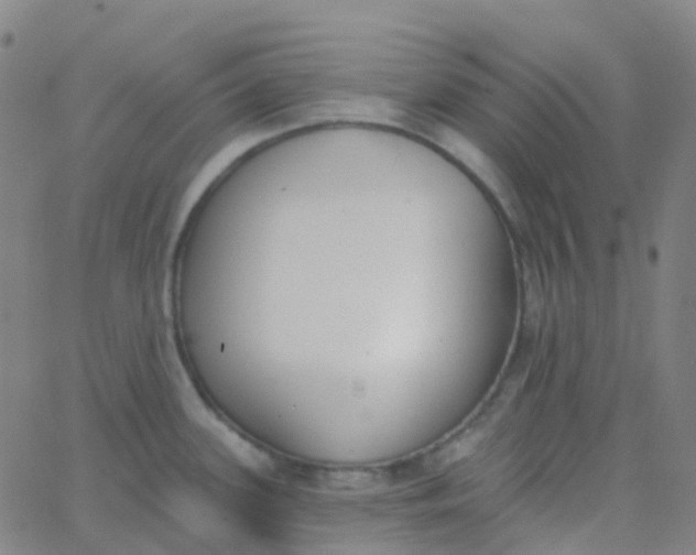 X0000062841339200601272007