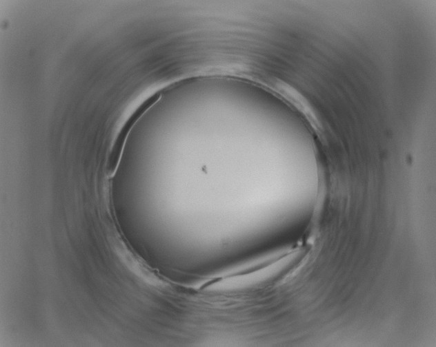 X0000062841340200601272007