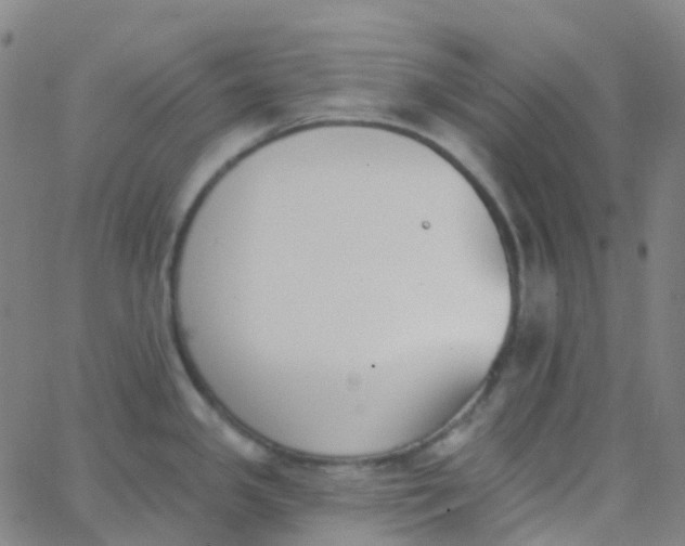 X0000062841341200601272007