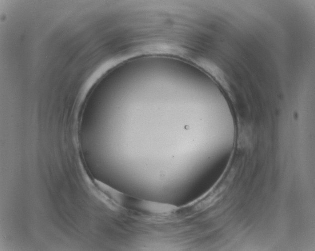 X0000062841342200601272007