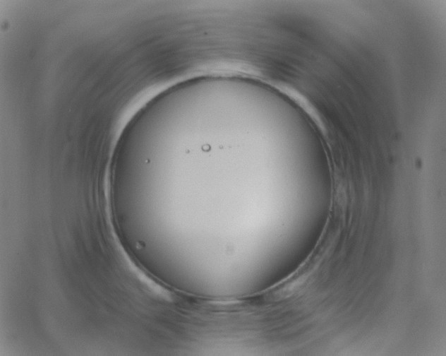 X0000062841343200601272007