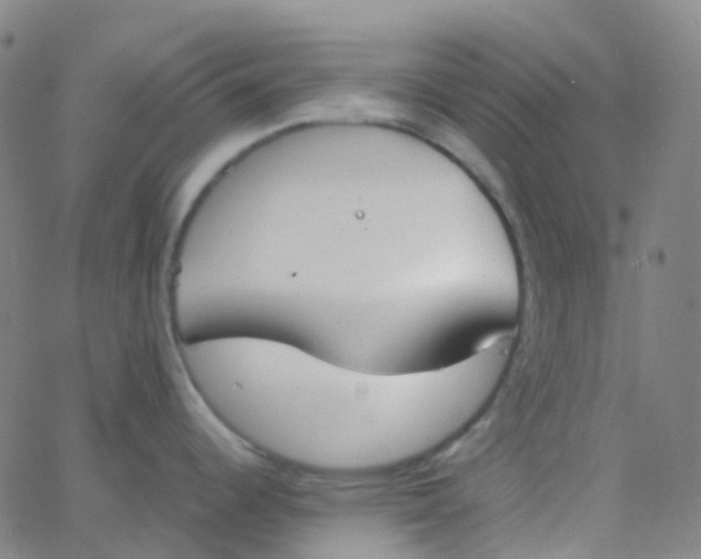 X0000062841344200601272007