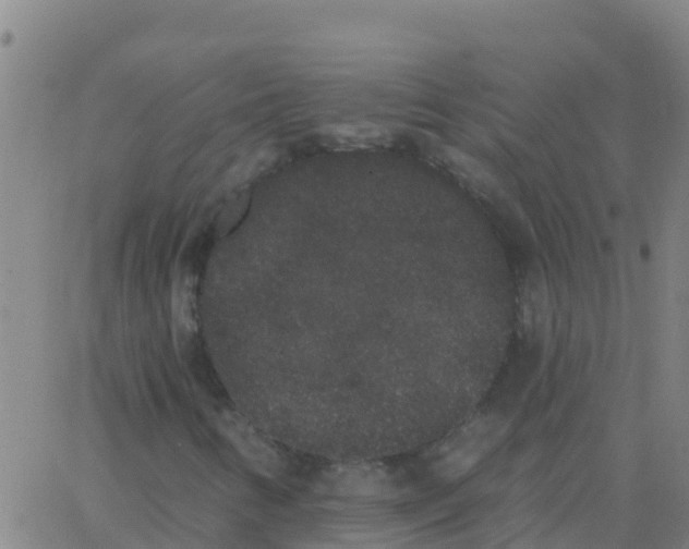 X0000062841346200601272006