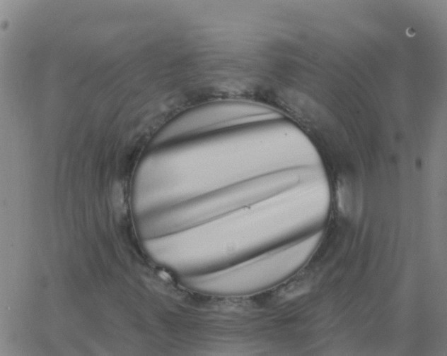 X0000062841347200601272006