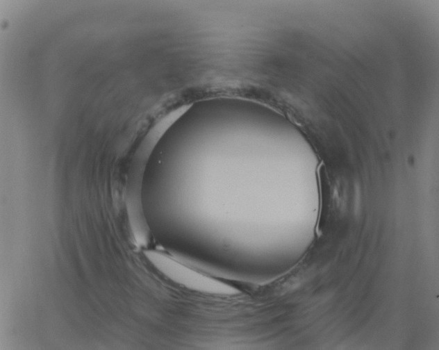 X0000062841348200601272006