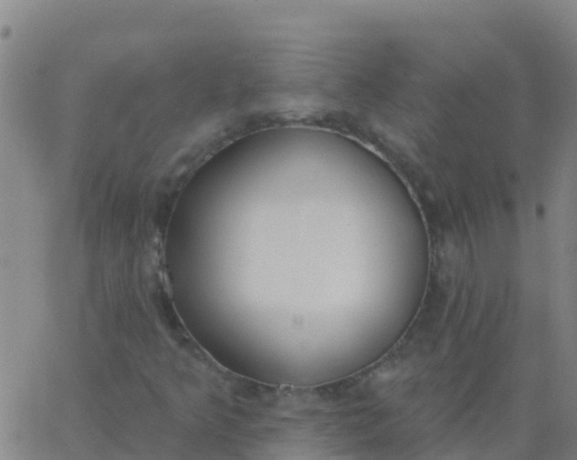 X0000062841349200601272006