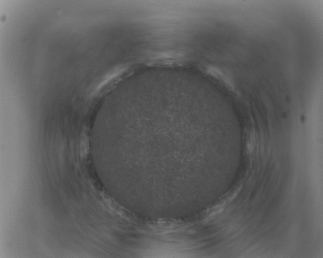 X0000062841350200601272006