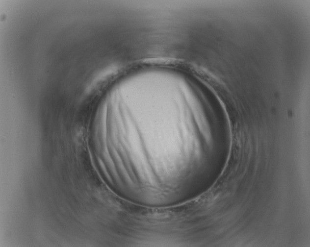 X0000062841351200601272006