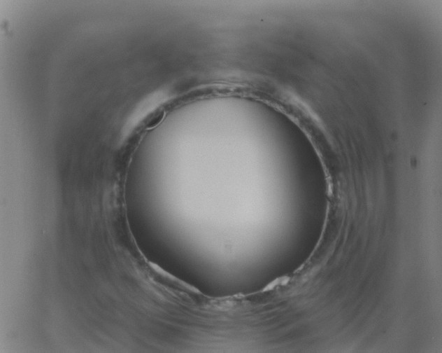 X0000062841352200601272006