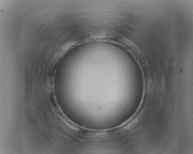 X0000062841353200601272006