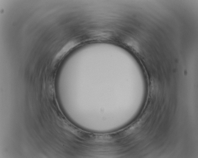 X0000062841354200601272006