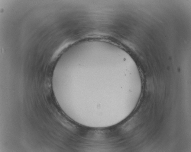 X0000062841355200601272006