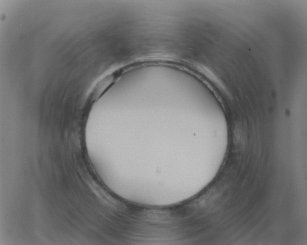 X0000062841356200601272006