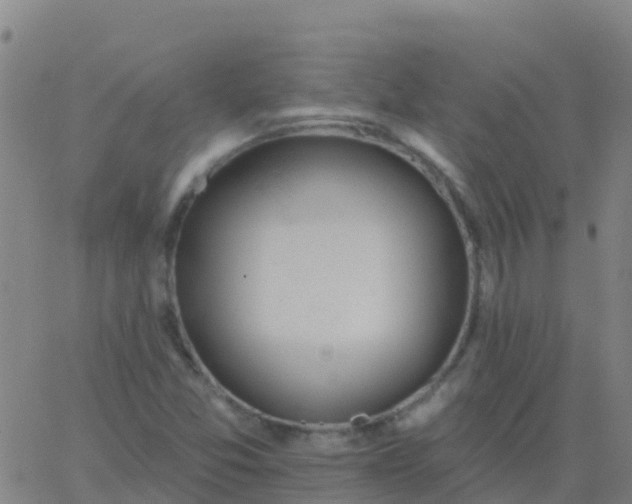 X0000062841357200601272006