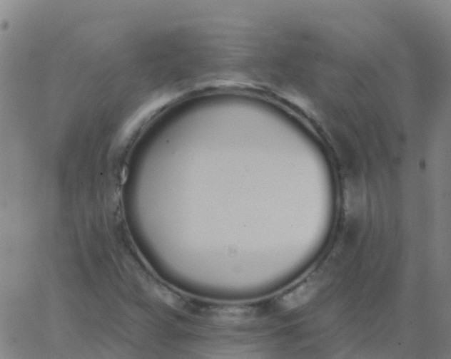 X0000062841359200601272006