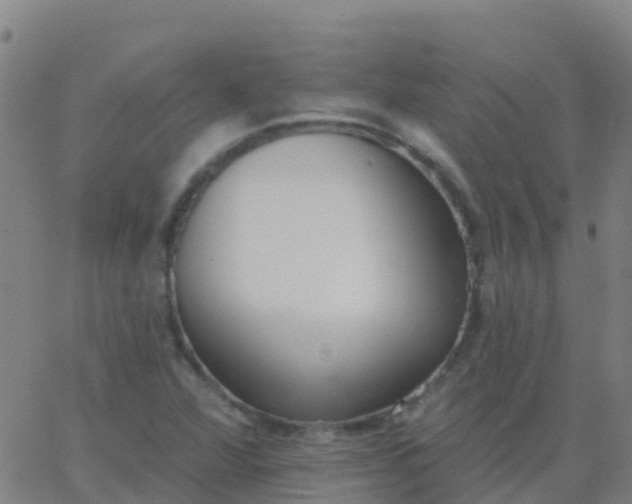 X0000062841360200601272006