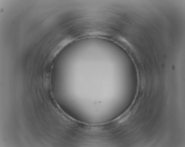 X0000062841361200601272006