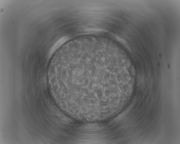 X0000062841362200601272006