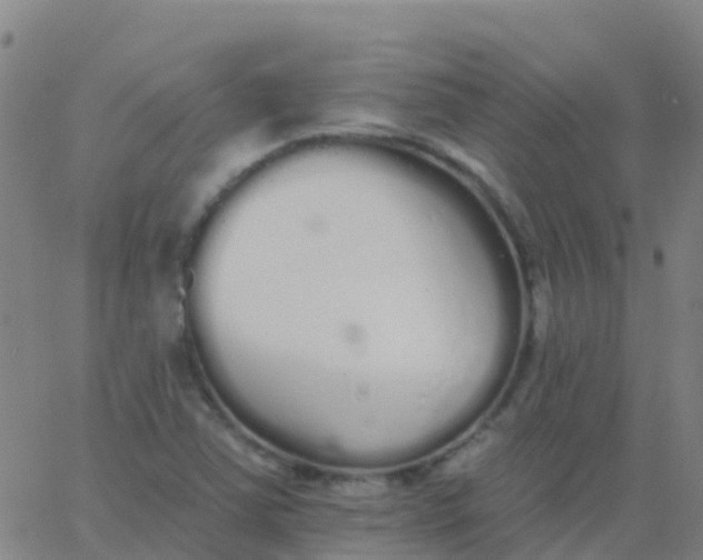 X0000062841363200601272006