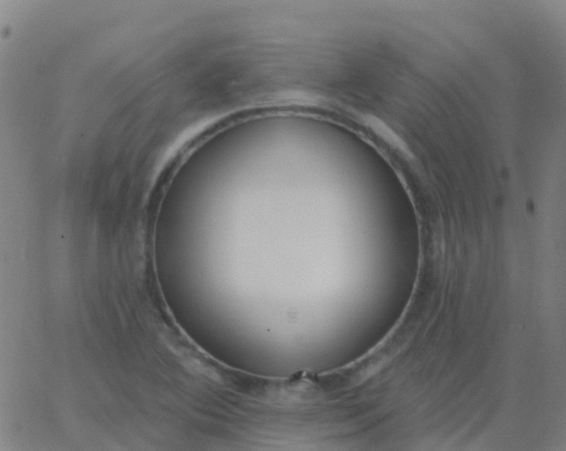 X0000062841364200601272006