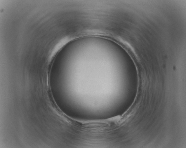 X0000062841365200601272006