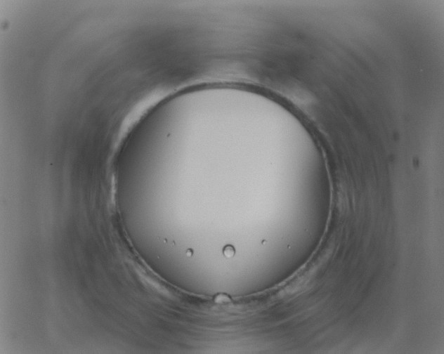 X0000062841366200601272006