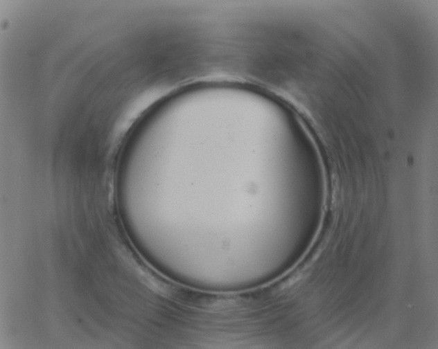 X0000062841367200601272005